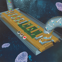 pnnl pfas